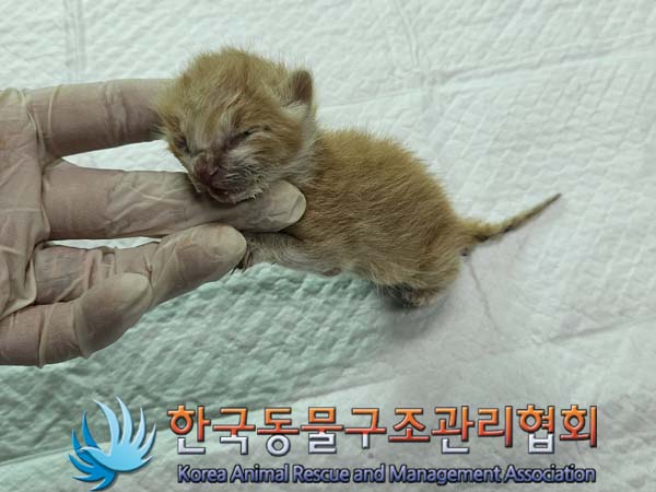 종료(자연사) 한국…